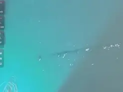 Amateur Free Porn Cam of Grettaa1