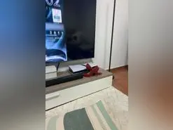 Amateur Live Porn of ReinalatinaReal