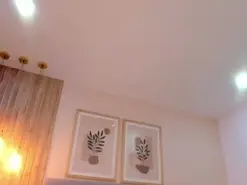 Amateur Live Porn of AriRobertt