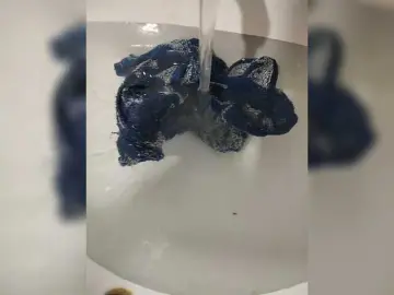 Bongacams Free Porn Cam of MinniMia