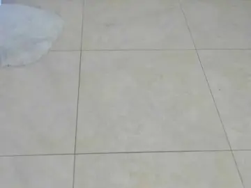 Bongacams Live Porn of littleDanni