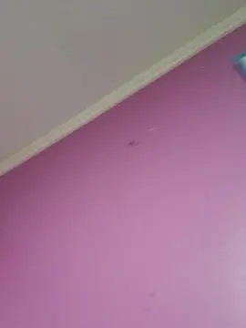 Cam4 Best Webcam of barbievip2