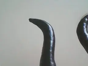 Cam4 Live Sex of DonnaBigBooty