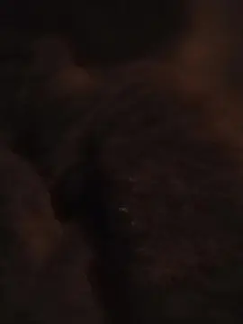 Cam4 Free Live Porn of pia46_2