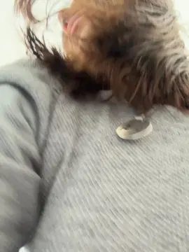 Cam4 Watch Live Sex Cams of catherinex1