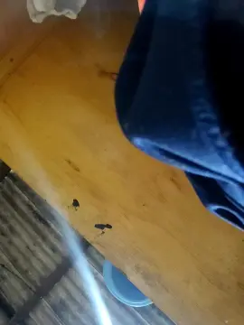Cam4 Best Webcam of laryynife1
