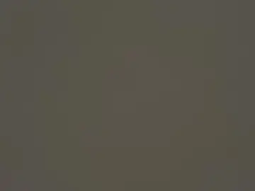 Cam4 Nude Webcam of Foxyfocks