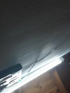 Cam4 Free Live Porn of r0m44