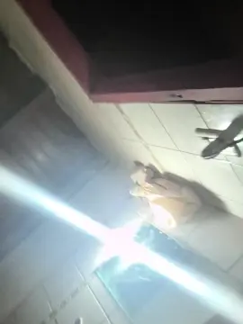 Cam4 Adult Video Chat of Margaritahippie