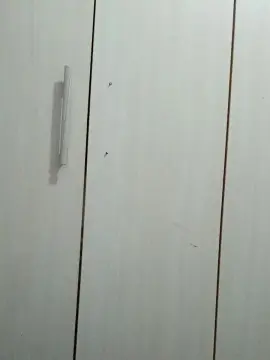 Cam4 Live Sex of Moramguinho56