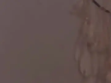 Chaturbate Adult Webcam of callmekatesmit