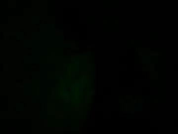 Chaturbate Best Webcam of jorettie