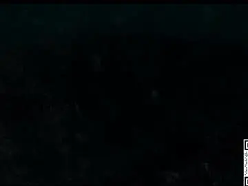 Chaturbate Watch Live Sex Cams of badassswitch