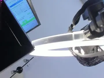 Chaturbate Live Porn of liz_holmes