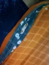 Dscgirls Sex Chat of Disha