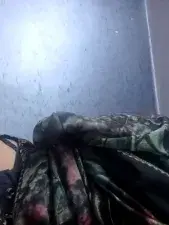 Dscgirls Live Sex Cam of Sexyrose