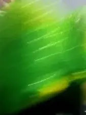 Dscgirls Live Porn of Sexyrose