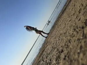 Myfreecams Sex Cam of Crazygirls99