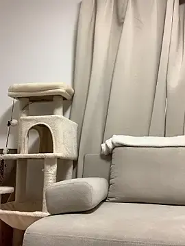 Stripchat Free Porn Cam of H_Kirachan