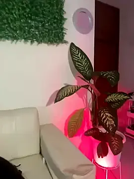 Stripchat Live Porn of Amy_ruizz